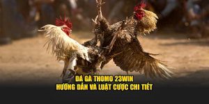 Đá gà Thomo tại 23win